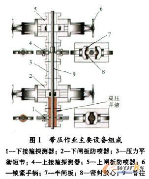 上,下闸板防喷器是带压作业系统的核心装置,主要结构包括壳体,驱动